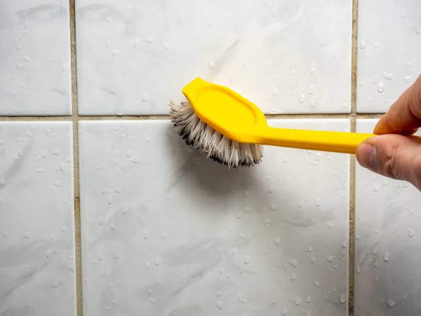 Best Fast Mold Removal  in Wallace, ID