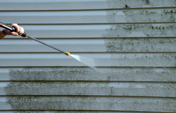 Best Mold Remediation  in Wallace, ID