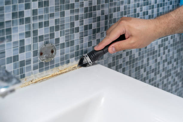 Best Fast Mold Removal  in Wallace, ID